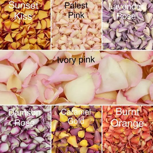 Natural Confetti - Two-Tone Rose Petals
