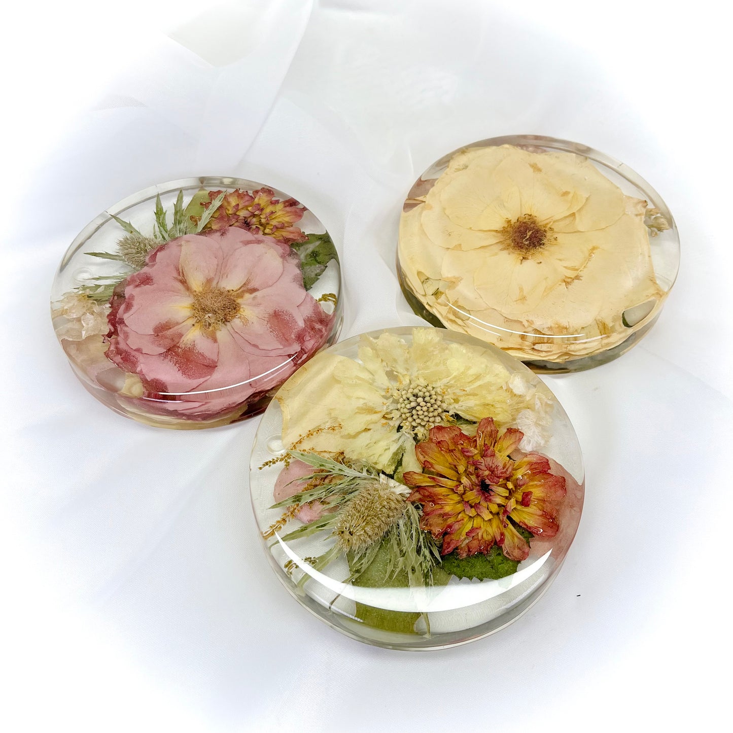 Flower Preservation 11cm coasters