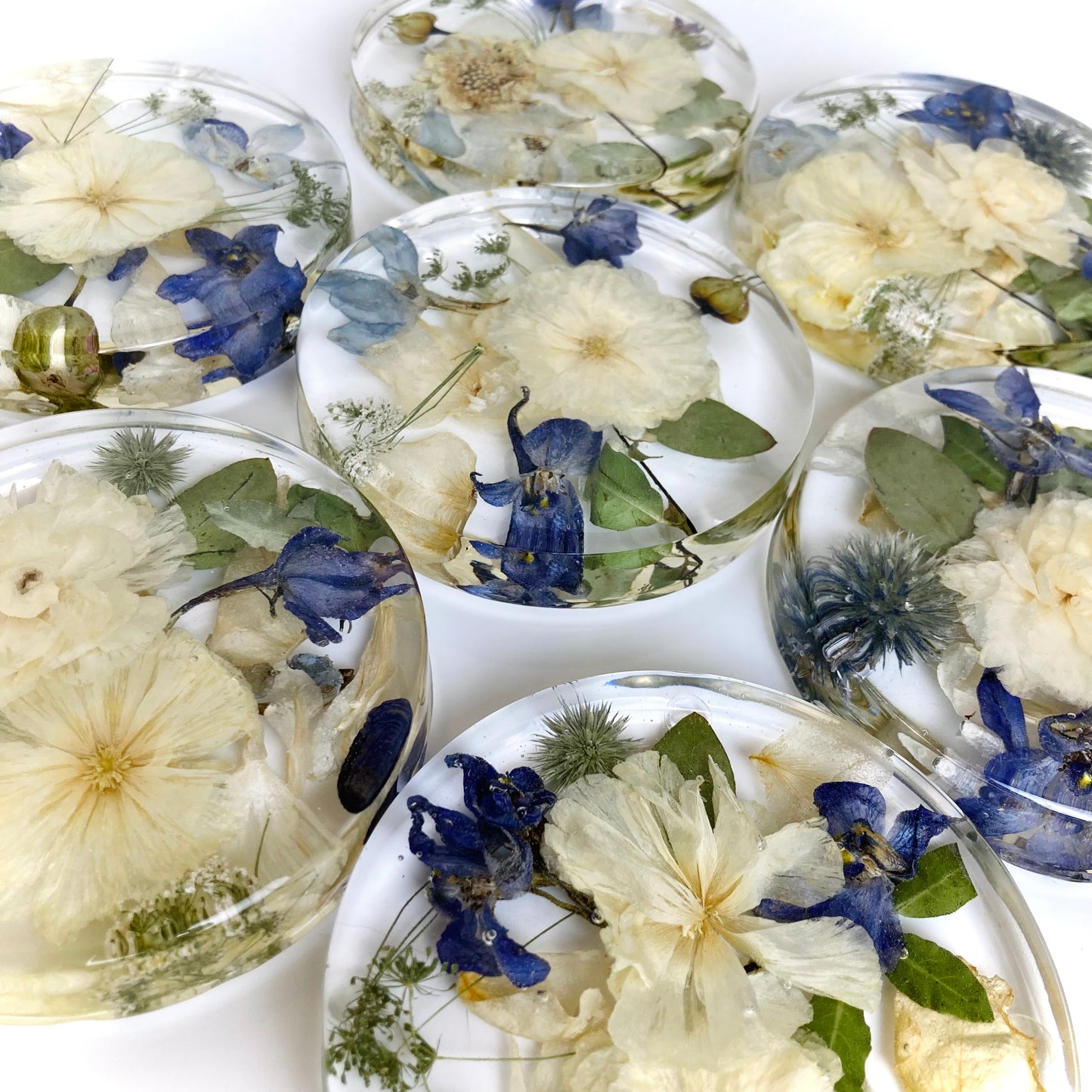 Flower Preservation 11cm coasters