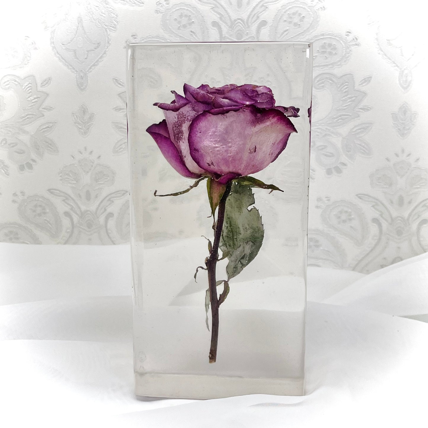 Flower Preservation 20x10cm display block