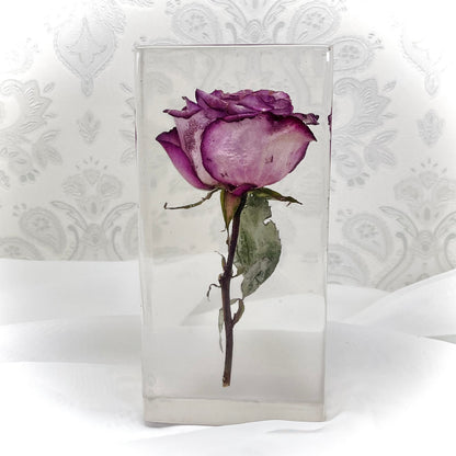 Flower Preservation 20x10cm display block