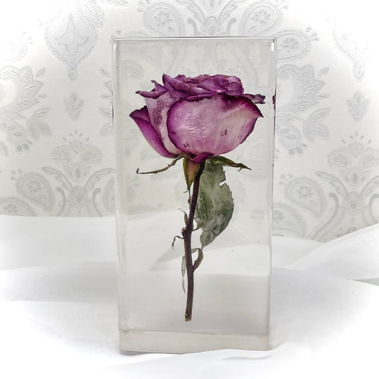 Flower Preservation 20x10cm display block