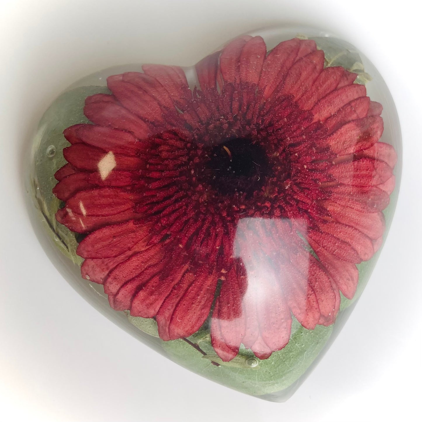 Flower Preservation puffy heart paperweight