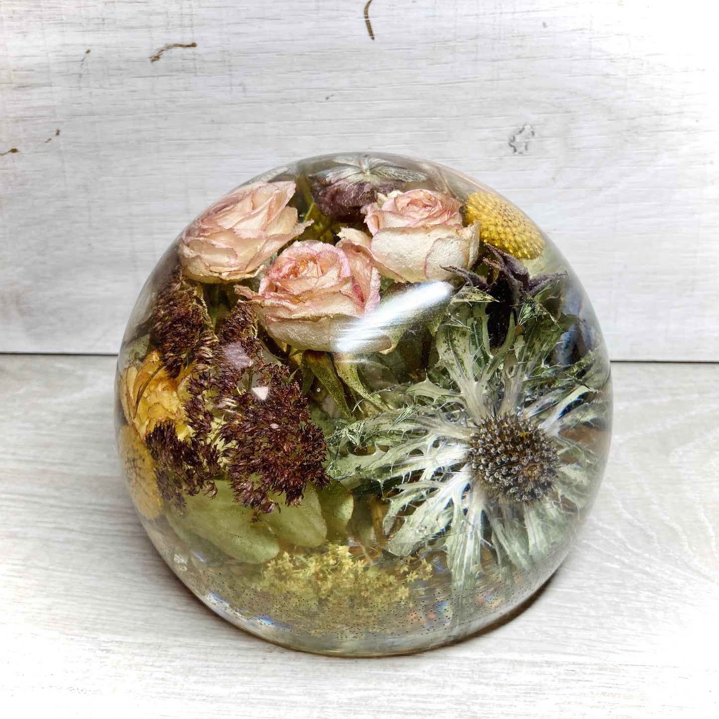 Flower Preservation 14cm flat bottom sphere