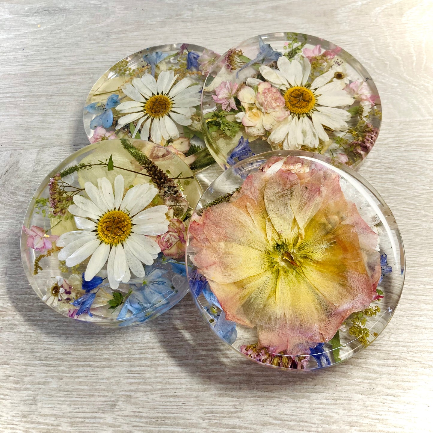 Flower Preservation 11cm coasters