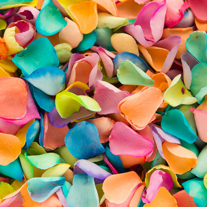 Natural Confetti - Dyed Rose Petals