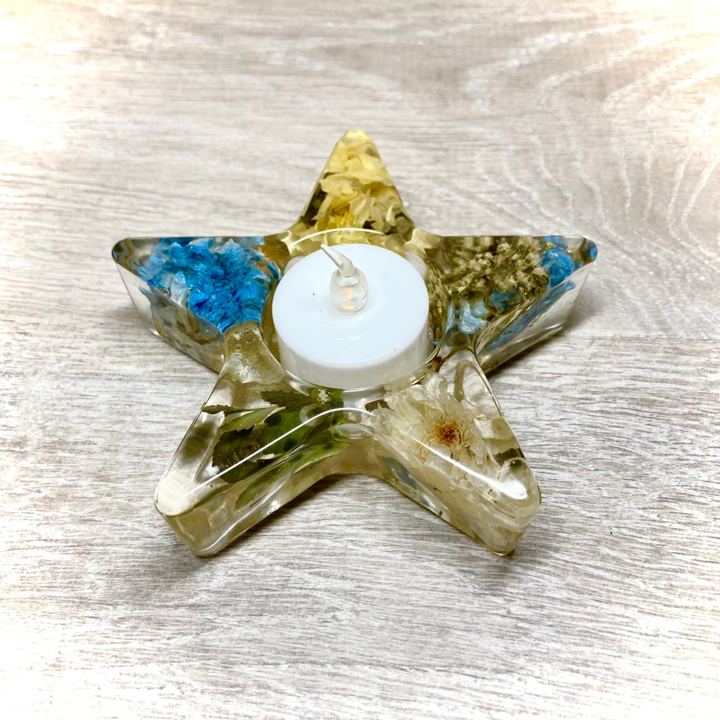 Flower Preservation star shaped tealight holder