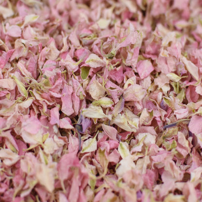 Natural Confetti - Delphinium