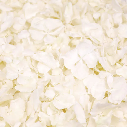 Natural Confetti - Hydrangea