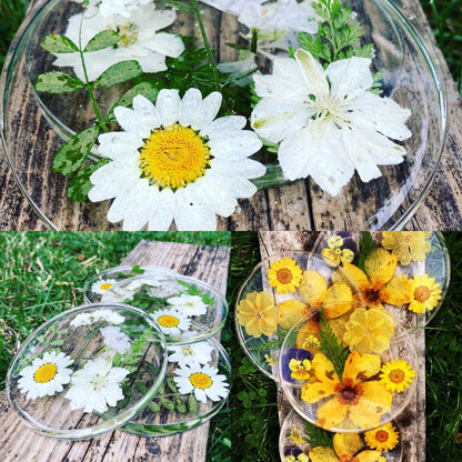 Custom Floral Coasters