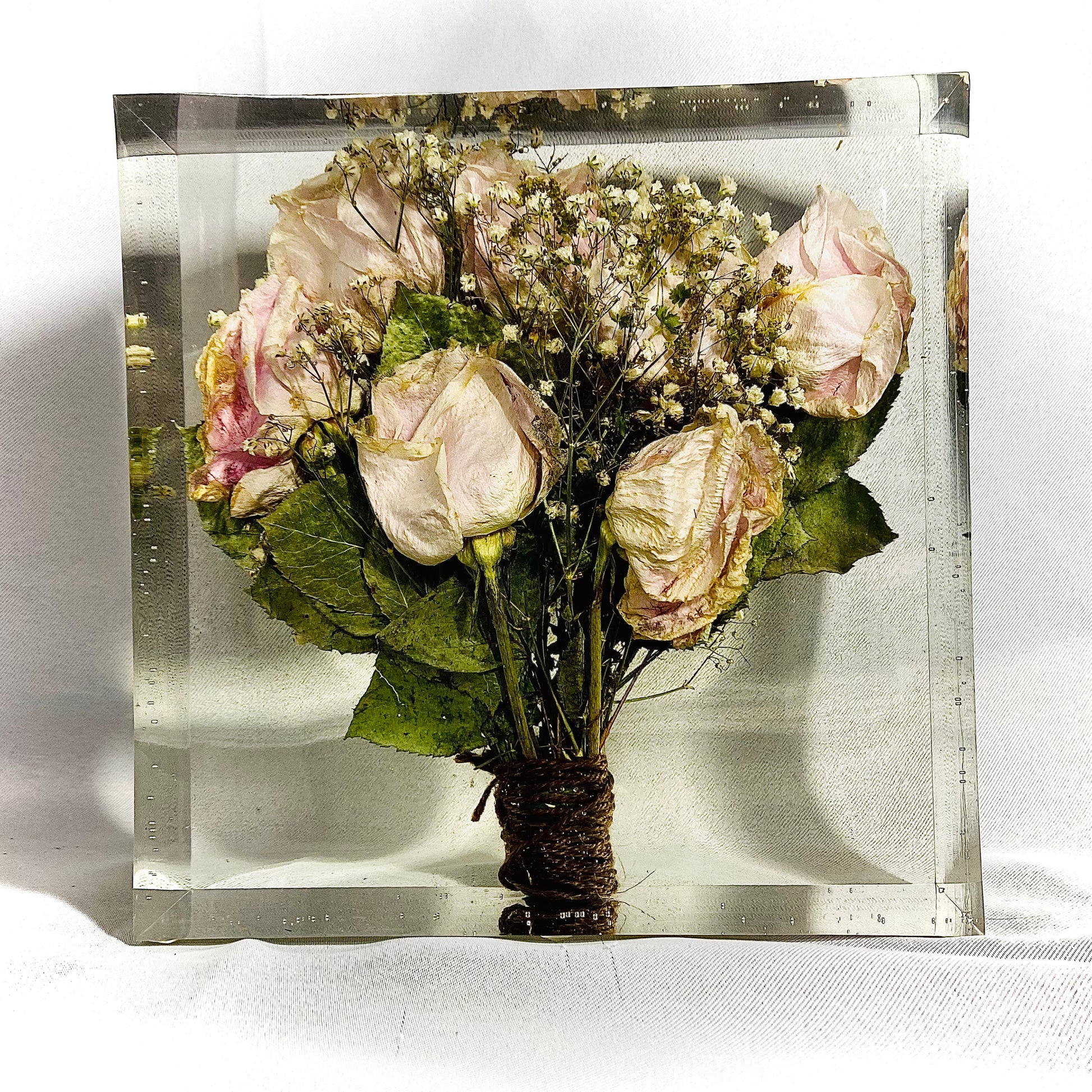 Flower Preservation 20cm display block