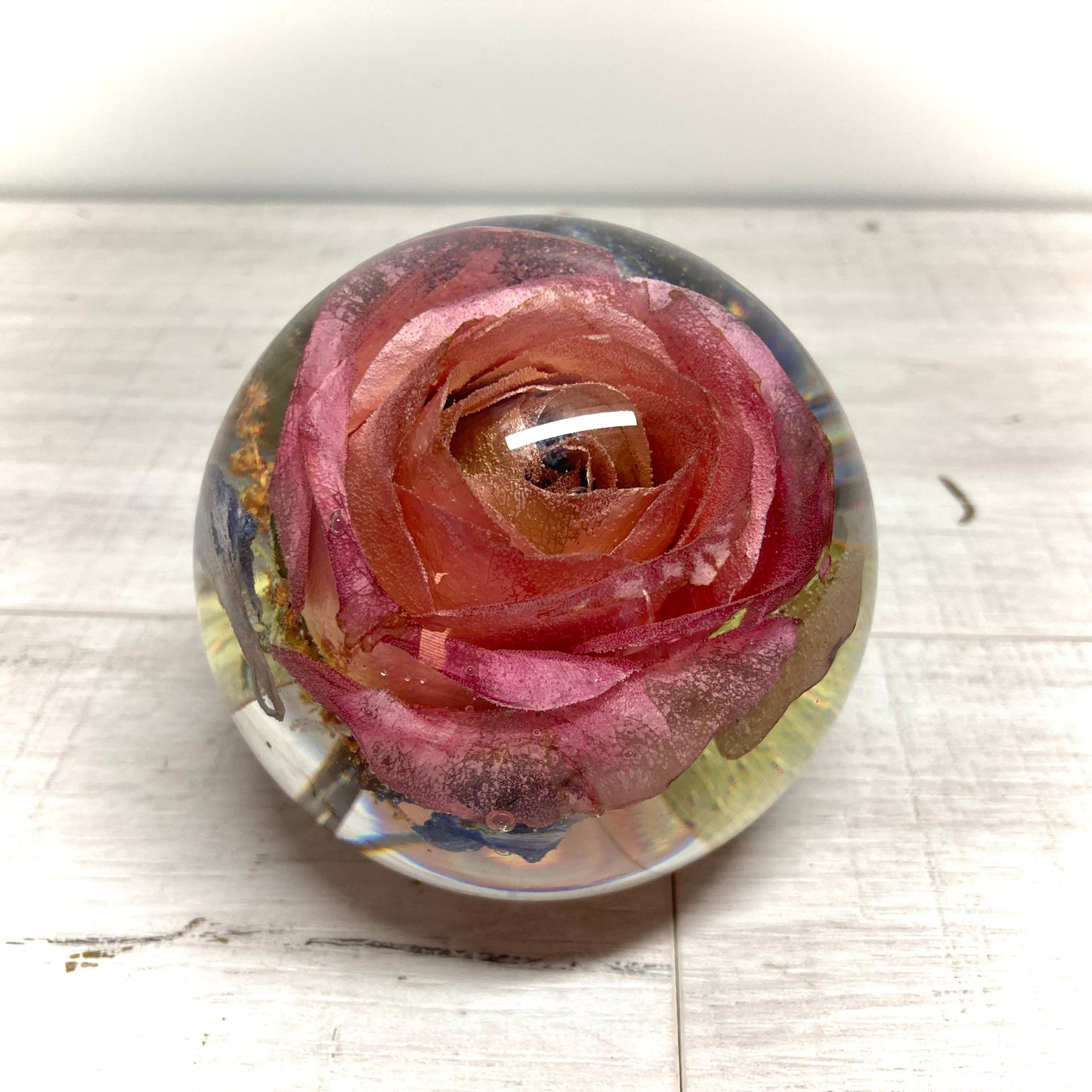 Flower Preservation 8cm flat bottom sphere