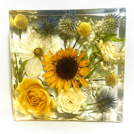 15cm display block with white and yellow theme
