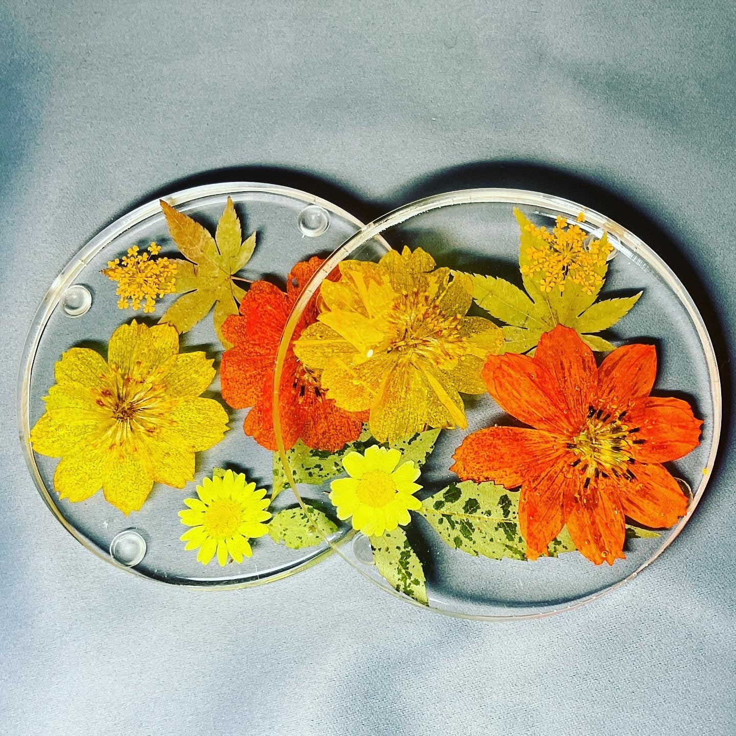 Custom Floral Coasters