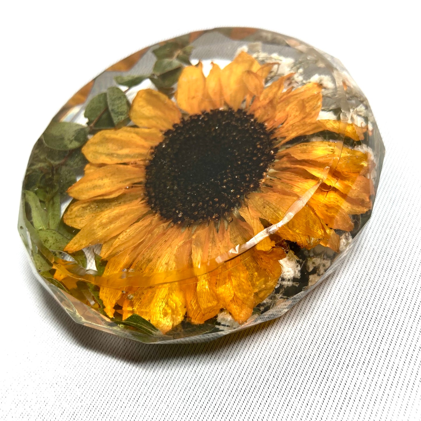 Flower Preservation faceted coasters