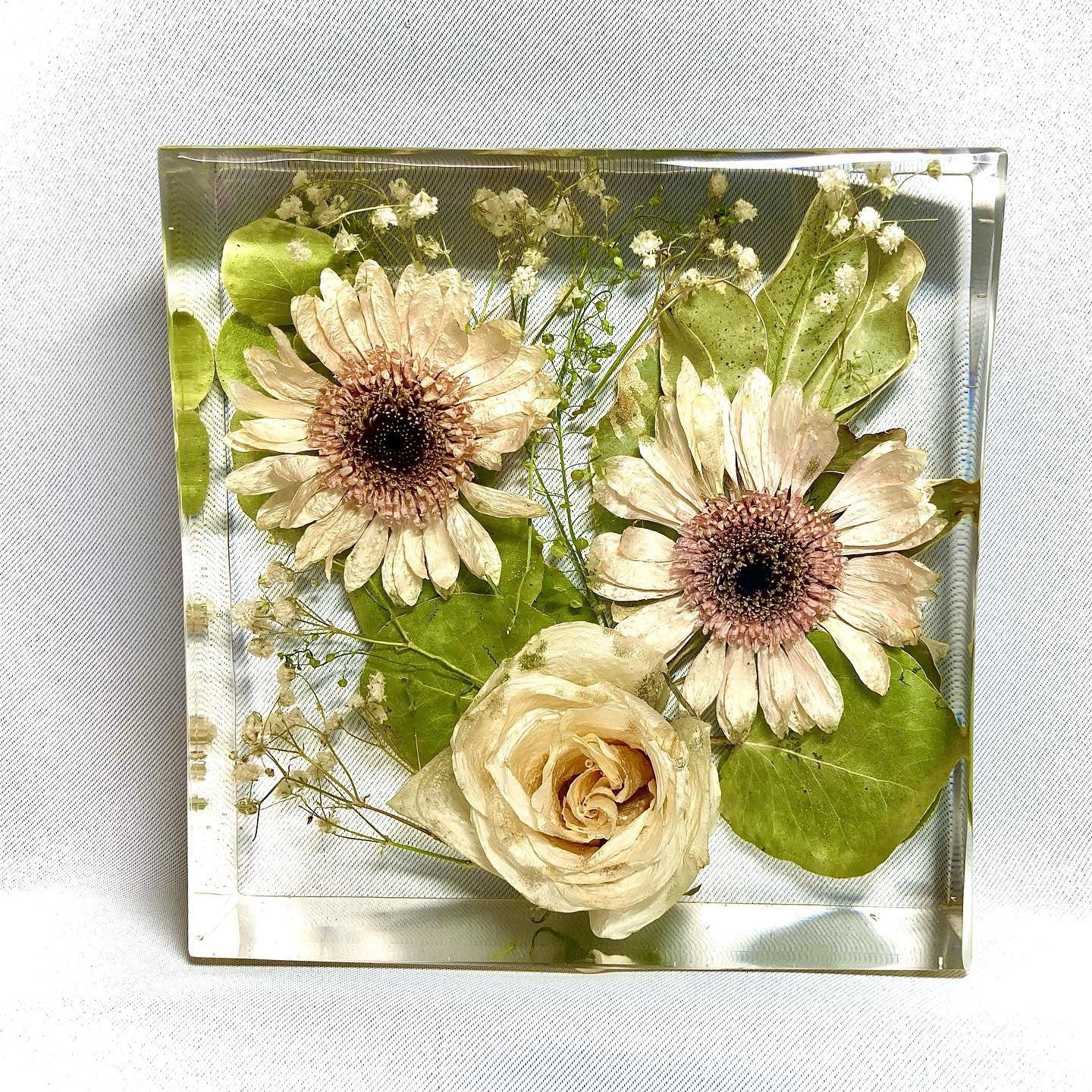 Flower Preservation 15cm display block