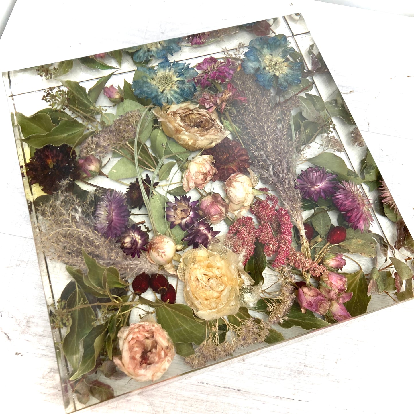 Flower Preservation 30cm display block